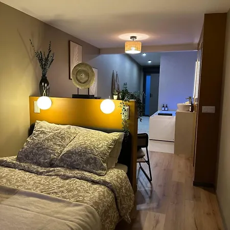 L'ecrin Boheme - Jacuzzi & Sauna - Daire *